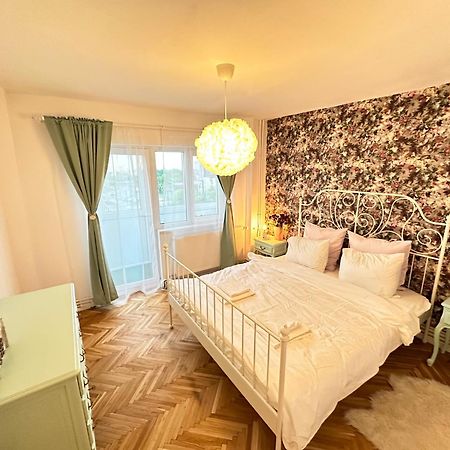 Simba Residence Timişoara Buitenkant foto